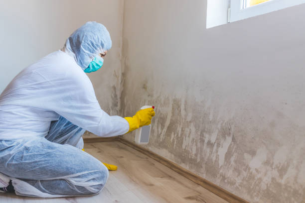 Licensed Commercial Mold Remediation service in Burnt Cabins, PA - WQB Mold Removal