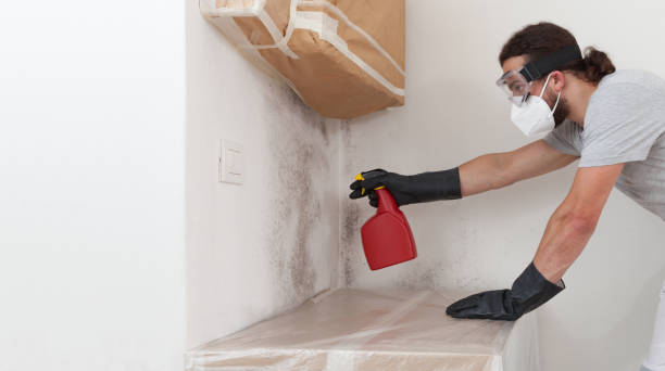 Professional Commercial Mold Remediation technician working in Burnt Cabins, PA