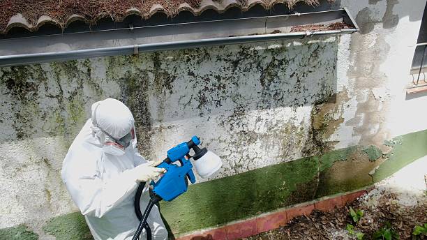 Top rated local Commercial Mold Remediation specialists in Burnt Cabins, PA